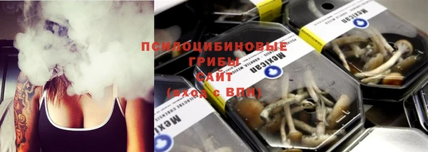 спиды Абаза