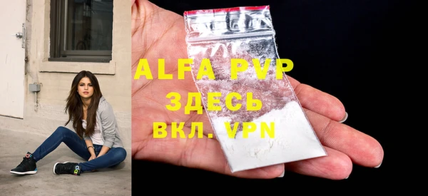 спиды Абаза